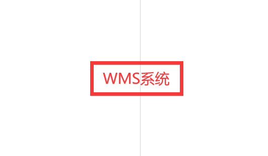 wms系统