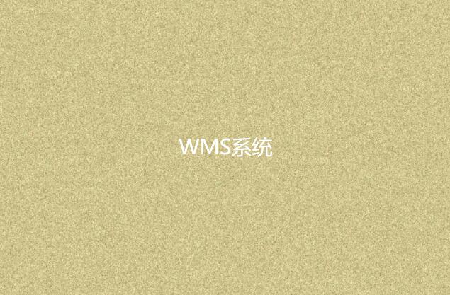 wms系统